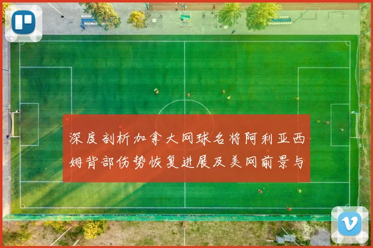 深度剖析加拿大网球名将阿利亚西姆背部伤势恢复进展及美网前景与展望
