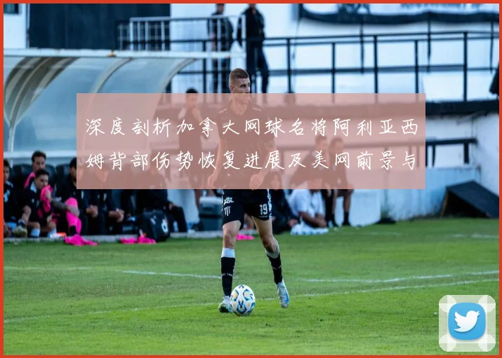深度剖析加拿大网球名将阿利亚西姆背部伤势恢复进展及美网前景与展望
