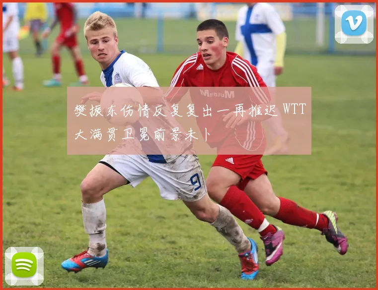 樊振东伤情反复复出一再推迟 WTT大满贯卫冕前景未卜
