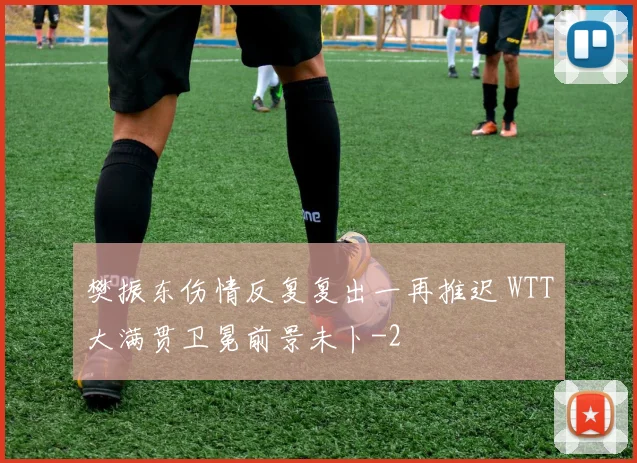 樊振东伤情反复复出一再推迟 WTT大满贯卫冕前景未卜